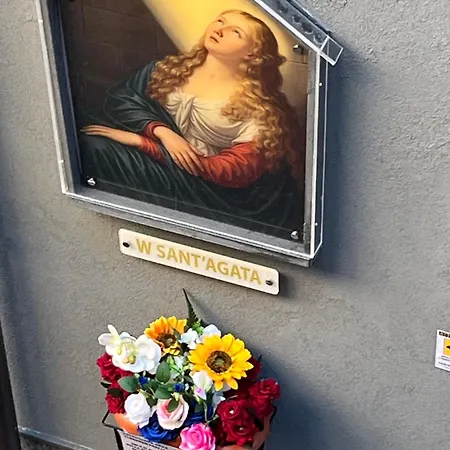 Faby's House Дом отдыха Катания