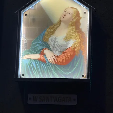 Faby's House * Катания